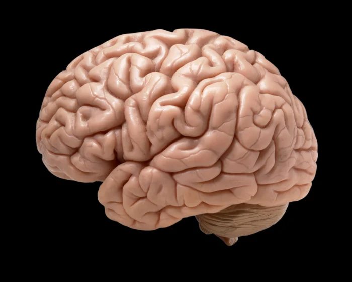 Photo: Shutterstock