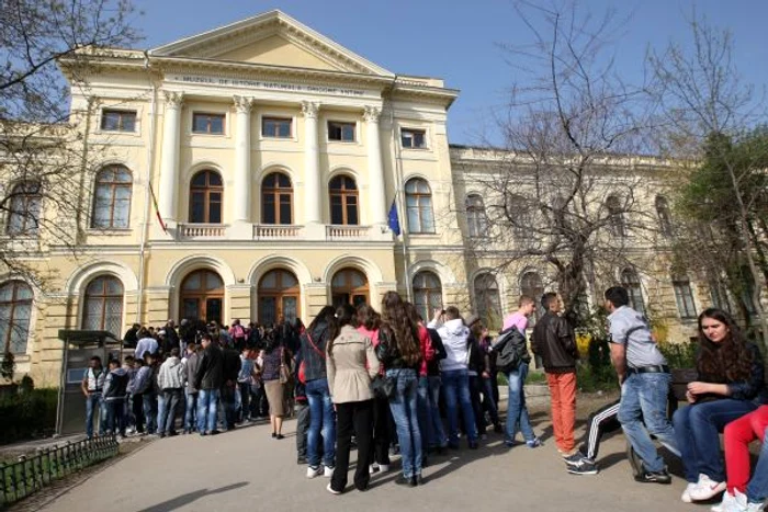 Queue at the Museum, 