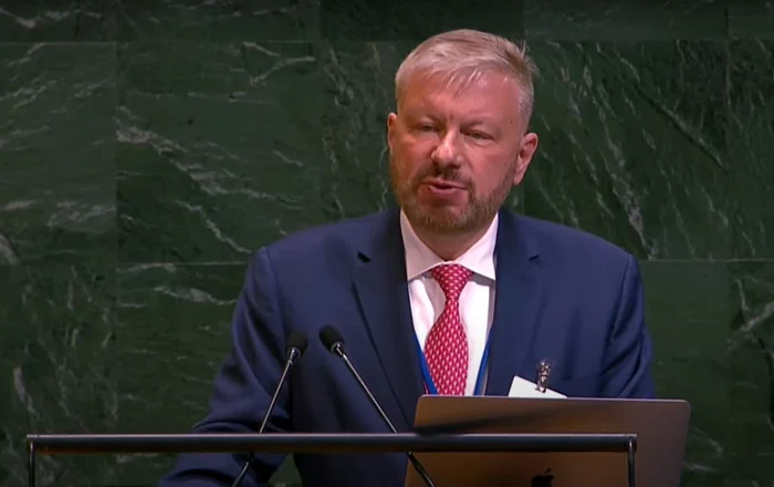 Greg Scărlătoiu at the UN. Photo: personal archive