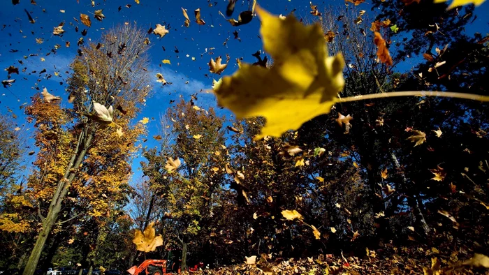 Cold autumn photo photo: shutterstock