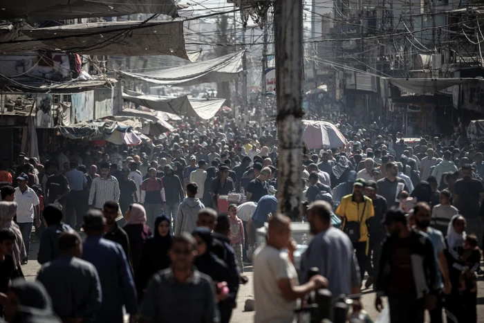 Palestiners returned to Gaza Citu after the profimia photo armistice