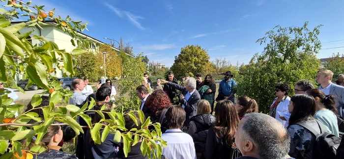 Dozens of students visited the resort and analyzed the cultures PHOTO: Dăbuleni Resort website