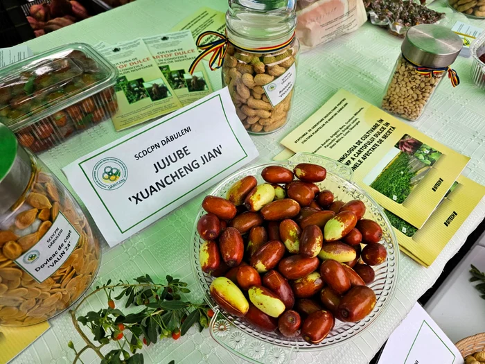 The jujubes sold well at the fair in Bucharest PHOTO: Dăbuleni Resort website