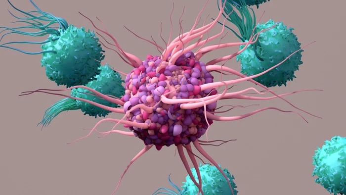 Illustration of regulatory T cells immune therapy Photo Akadeum Life Sciences