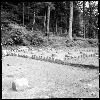 Sarmizegetusa Regia 1964 Photo Szabó Tamás, Ethnographic Museum of Transylvania (46) jpg