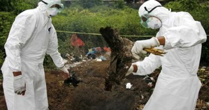 Two men in coveralls collect birds dead from bird flu