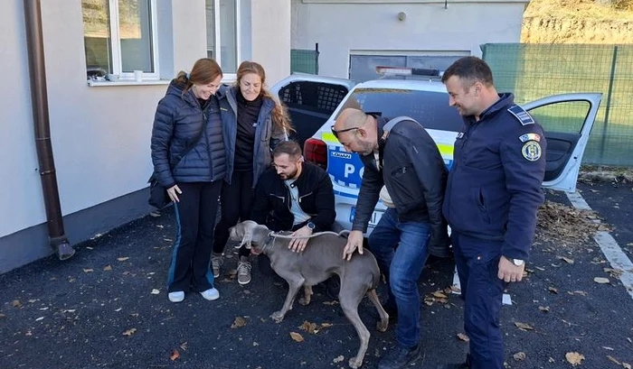 The animal was transported safely to the police headquarters PHOTO: eBihoreanul
