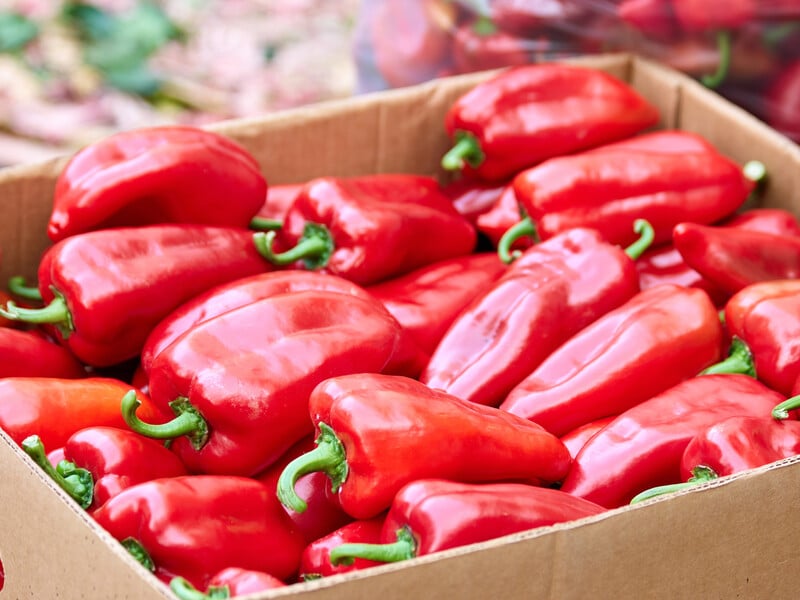 Wrap each vegetable in this - and the pepper will remain fresh and elastic until the New Year. Secret life hack