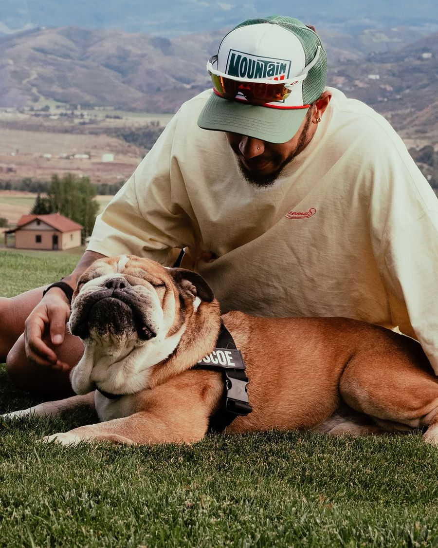 Lewis Hamilton, back to the circuit after the death of his dog: 
