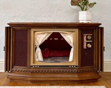An American recycles old televisions and turns them into cat houses