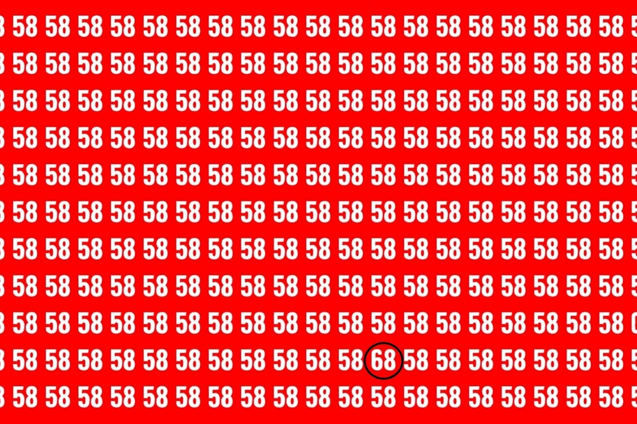 AI Chatgpt (18+)