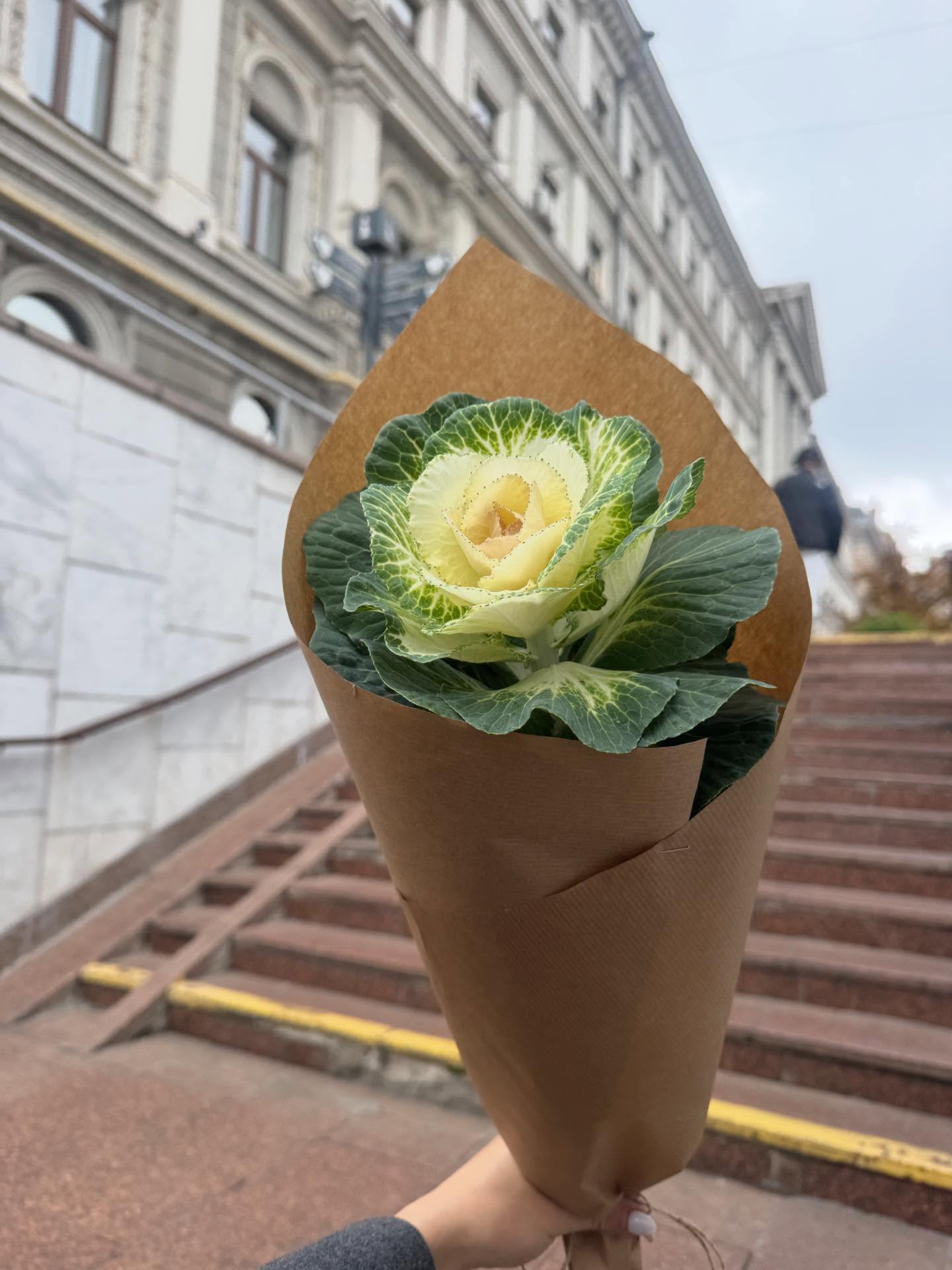 Nobody believes it's cabbage. Six trendy bouquets that evoke amazement and admiration photo 2