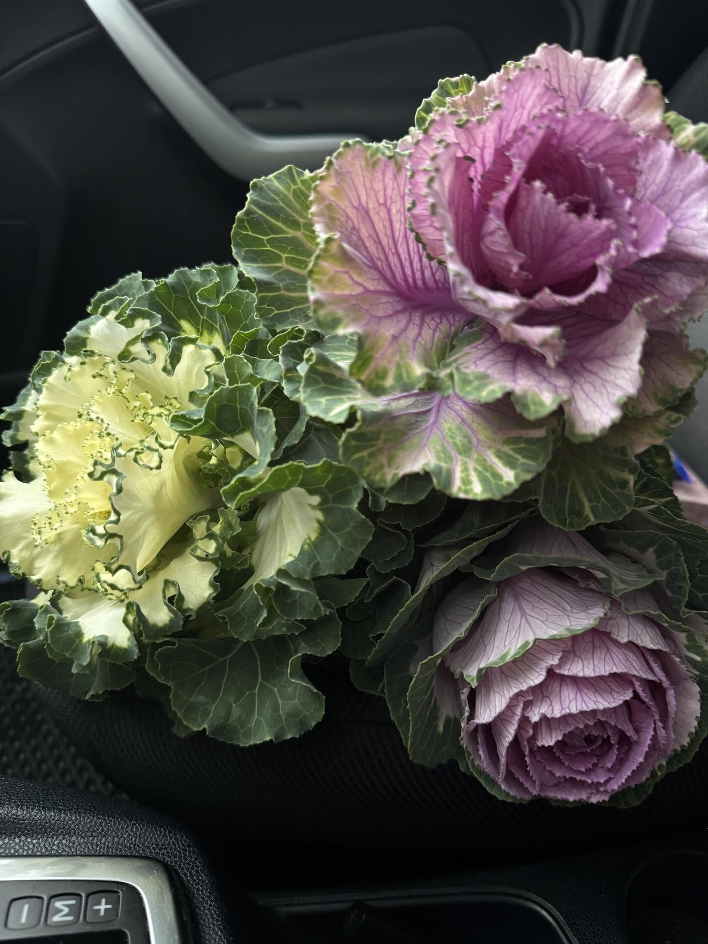 Nobody believes it's cabbage. Six trendy bouquets that evoke amazement and admiration photo 5