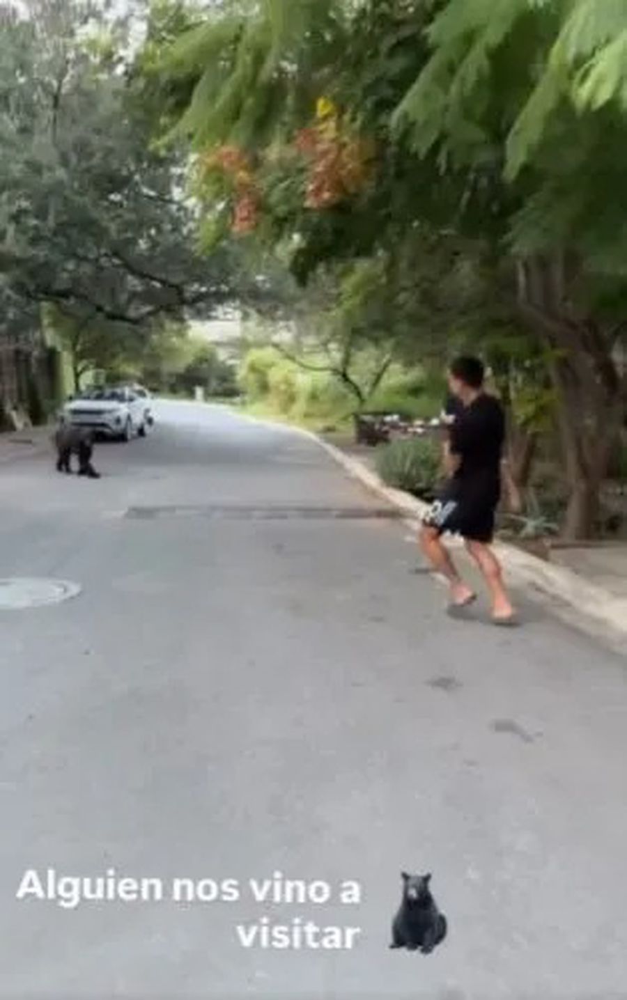 Panic moment for the 2022 World Champion! With the bear on footsteps!