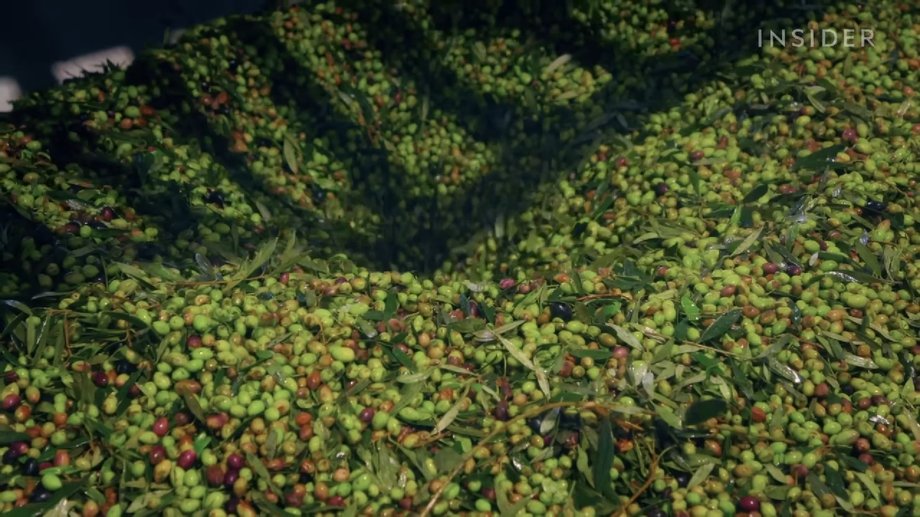 10 kg of olive oil is made of 50 kg of olives
