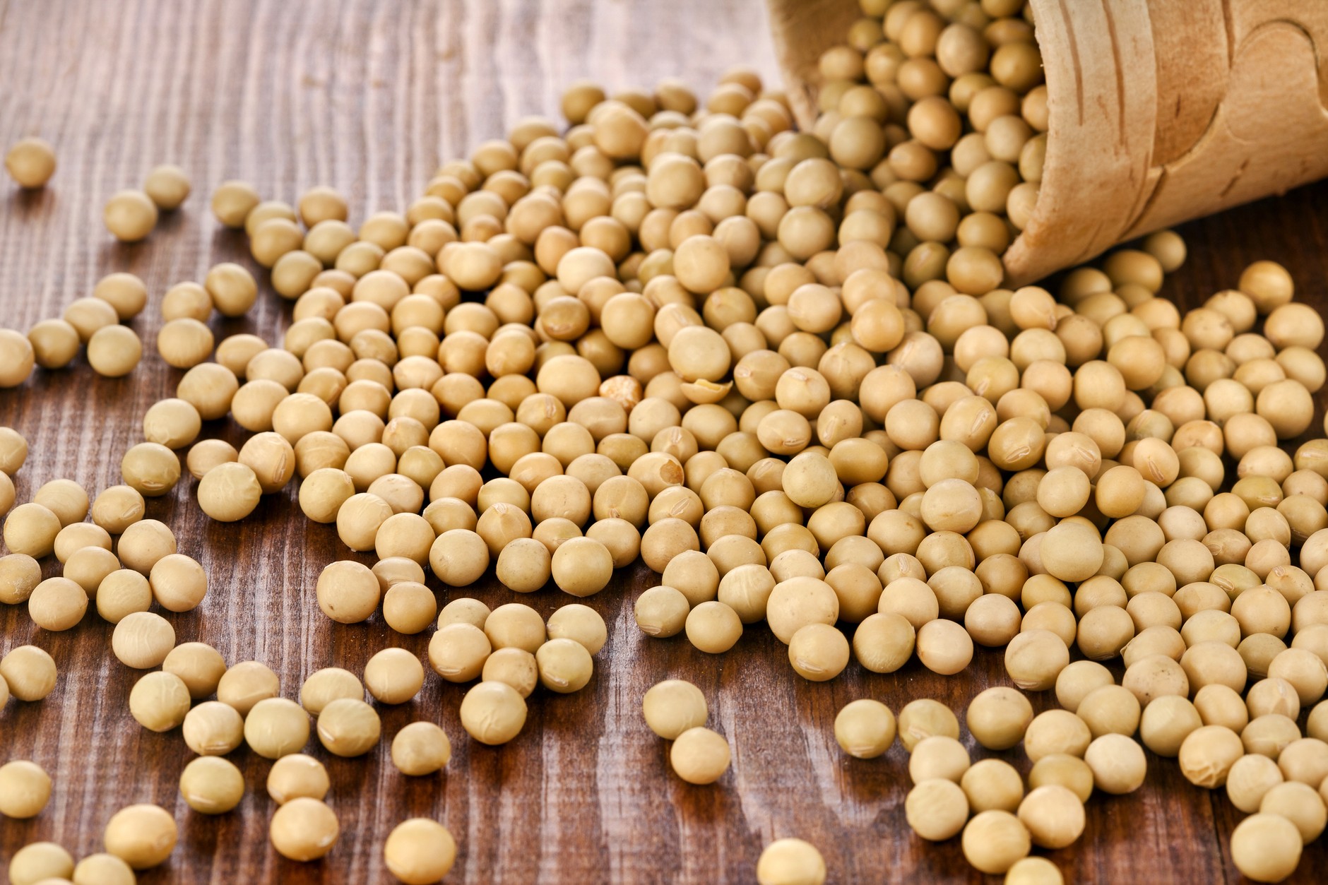 Soybeans. Illustrative photos