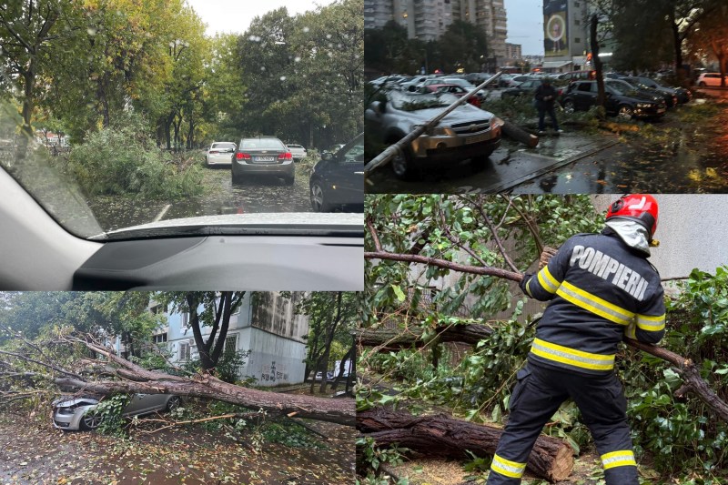 Hundreds of cars in Bucharest and Ilfov, damaged after the strong wind has set hundreds of trees to the ground
