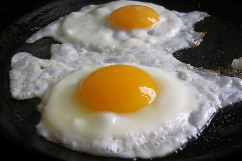 VIDEO What happens if you eat 24 eggs daily? A Harvard researcher did the experiment for a month