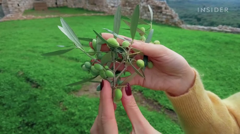 The olive variety is crucial