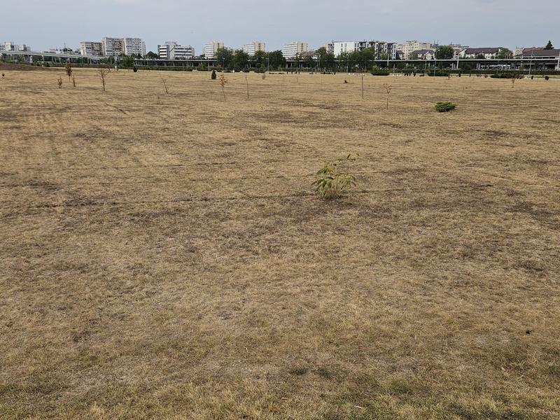 Dry grass, Photo: Vlad Barza / HotNews.ro