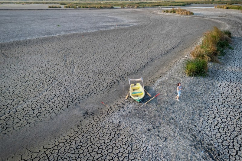 Drought in the Comana reservoir, September 2024. Photo - Daniel MIHAILESCU / AFP / Profimedia