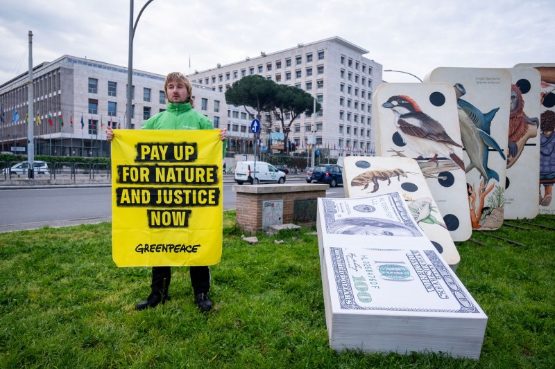 Greenpeace ordered to pay energy company nearly $350 million after judge reduces jury award