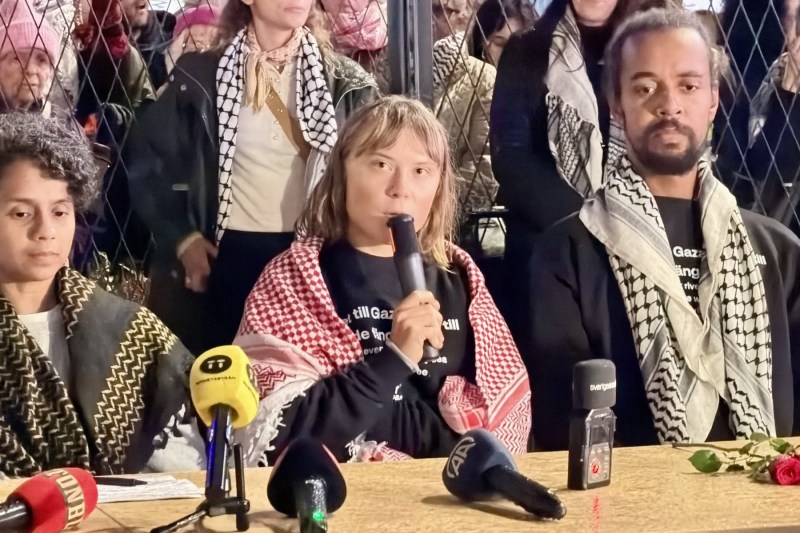 Greta Thunberg has confused the photos. Posting that brought him a wave of critics, after being expelled by Israel