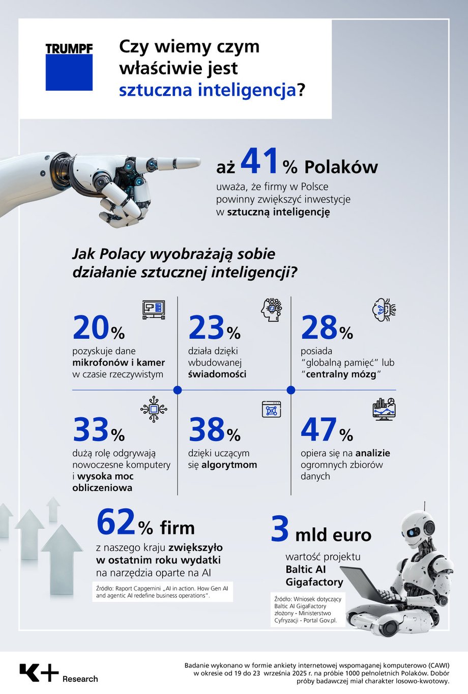 What do Poles know about AI?