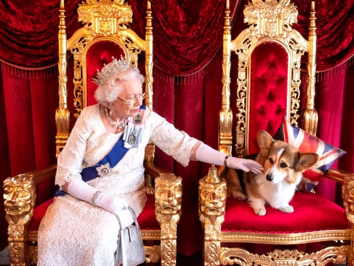 The late Queen Elizabeth II had over 30 corgis throughout her life. PHOTO: archive
