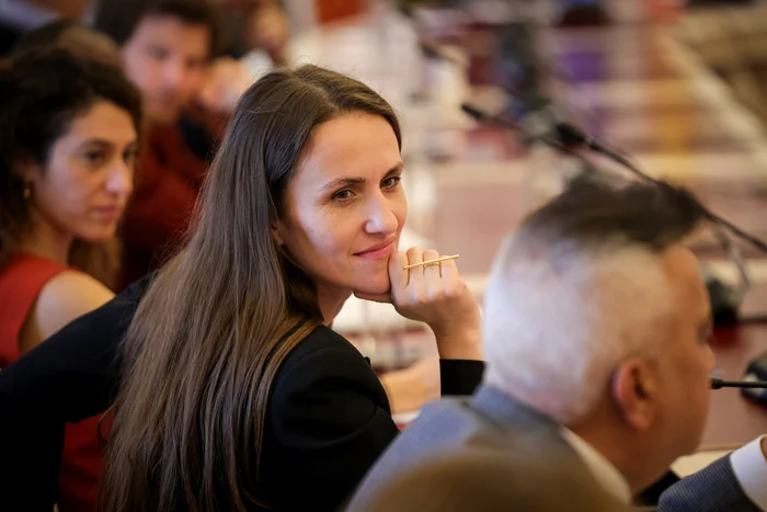 Oana Țoiu/PHOTO: Facebook