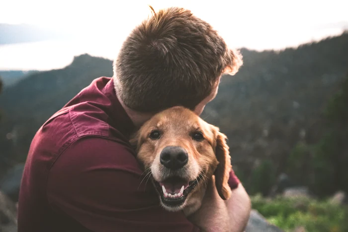 The death of a pet is as painful as that of a family member. PHOTO: archive