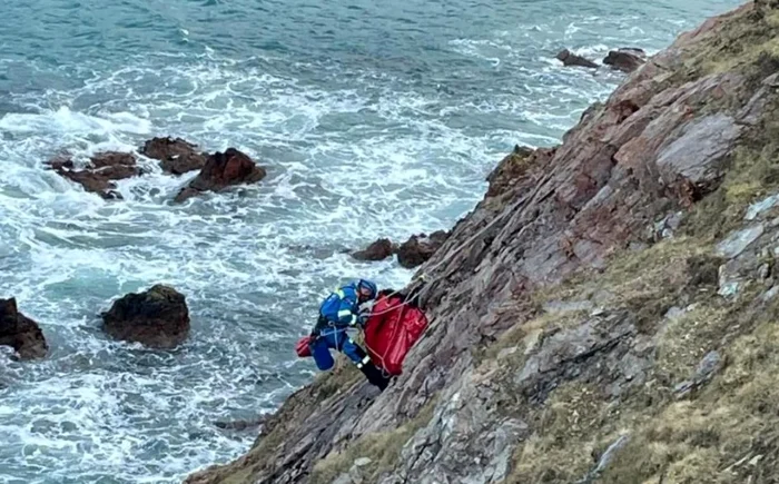 Lifeguards intervene to help the dog PHOTO: HM Coastguard