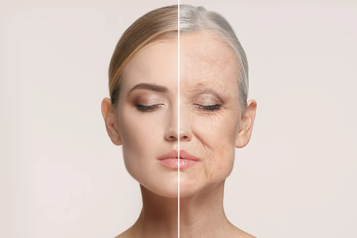 half woman's face, half young, half old