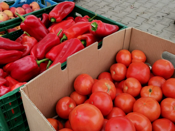 There are customers who do not believe that the tomatoes are from the producer's farm PHOTO: A. Mitran 