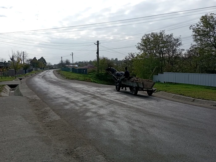 Many villagers do not have money for dental interventions PHOTO Cosmin Zamfirache