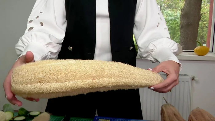 The loofah, the vegetable sponge that can replace polystyrene and industrial soap PHOTO: Archive