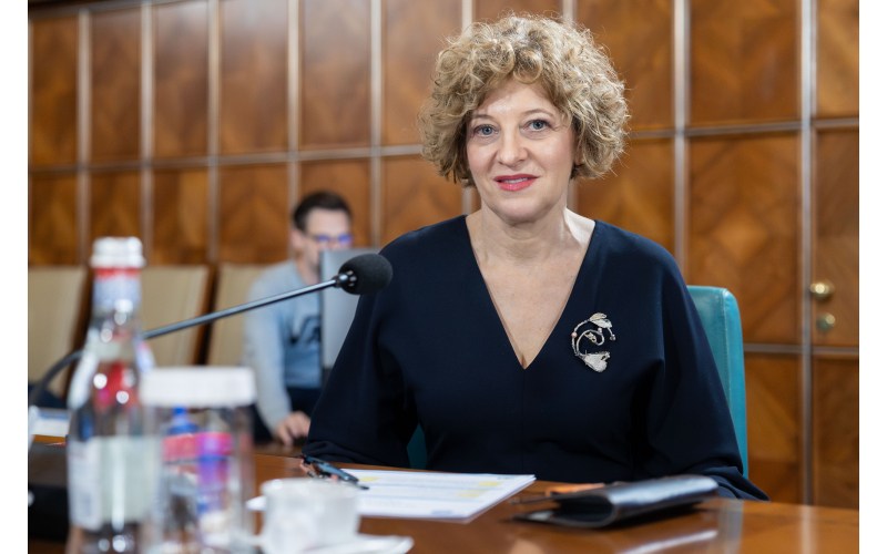 Oana Gheorghiu says that state companies do not sponsor / What is the reality