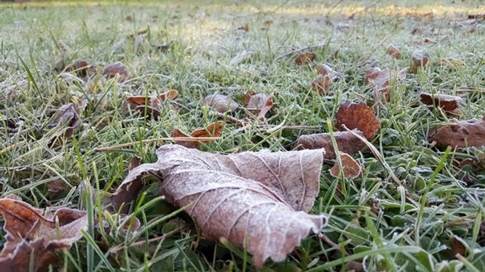 Probable weather in the next month PHOTO: The truth