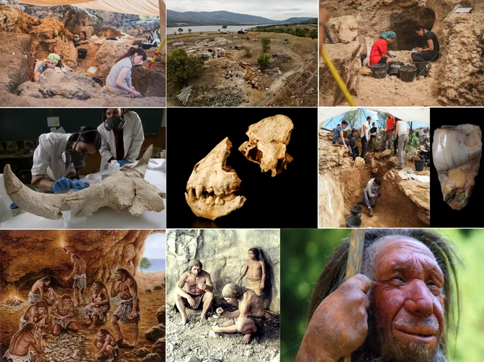 Neanderthal man PHOTO Collage El Español Community of Madrid and others