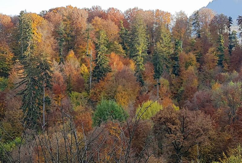 November landscape, Photo: Vlad Barza / HotNews.ro
