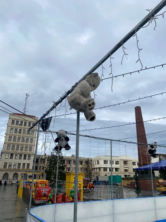 Bears