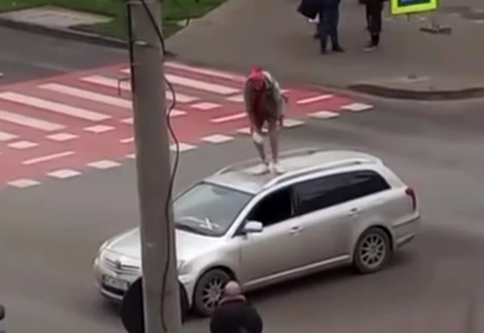 The young man got into the car and started reading PHOTO: Video capture