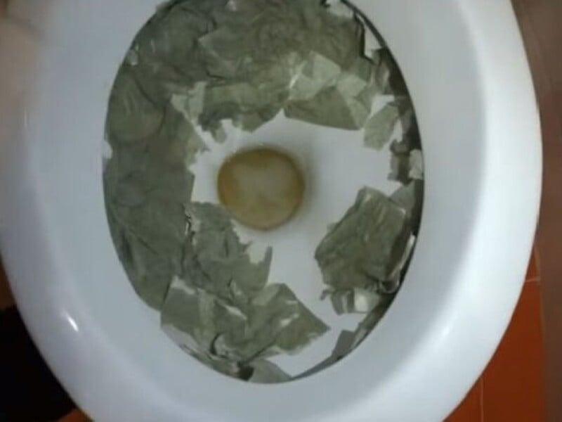 Don't poison yourself with harmful substances. Just fill the toilet with this and it will shine like new