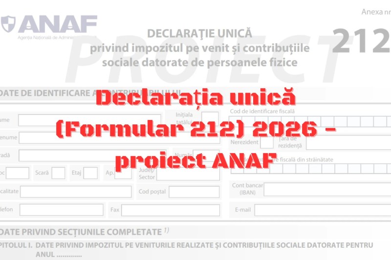 Single Declaration 2026: ANAF has prepared the new model
