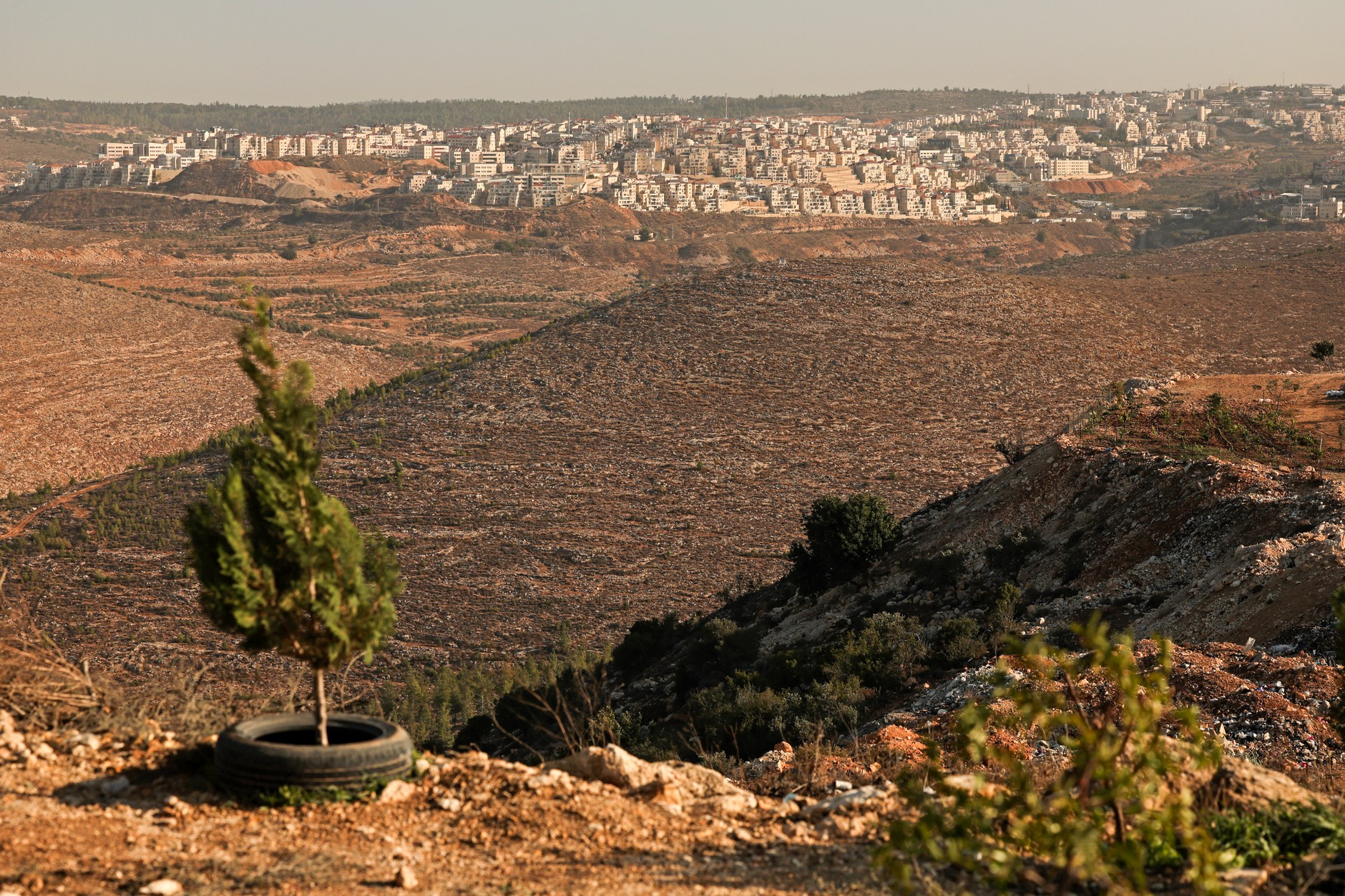 West Bank, November 18, 2025