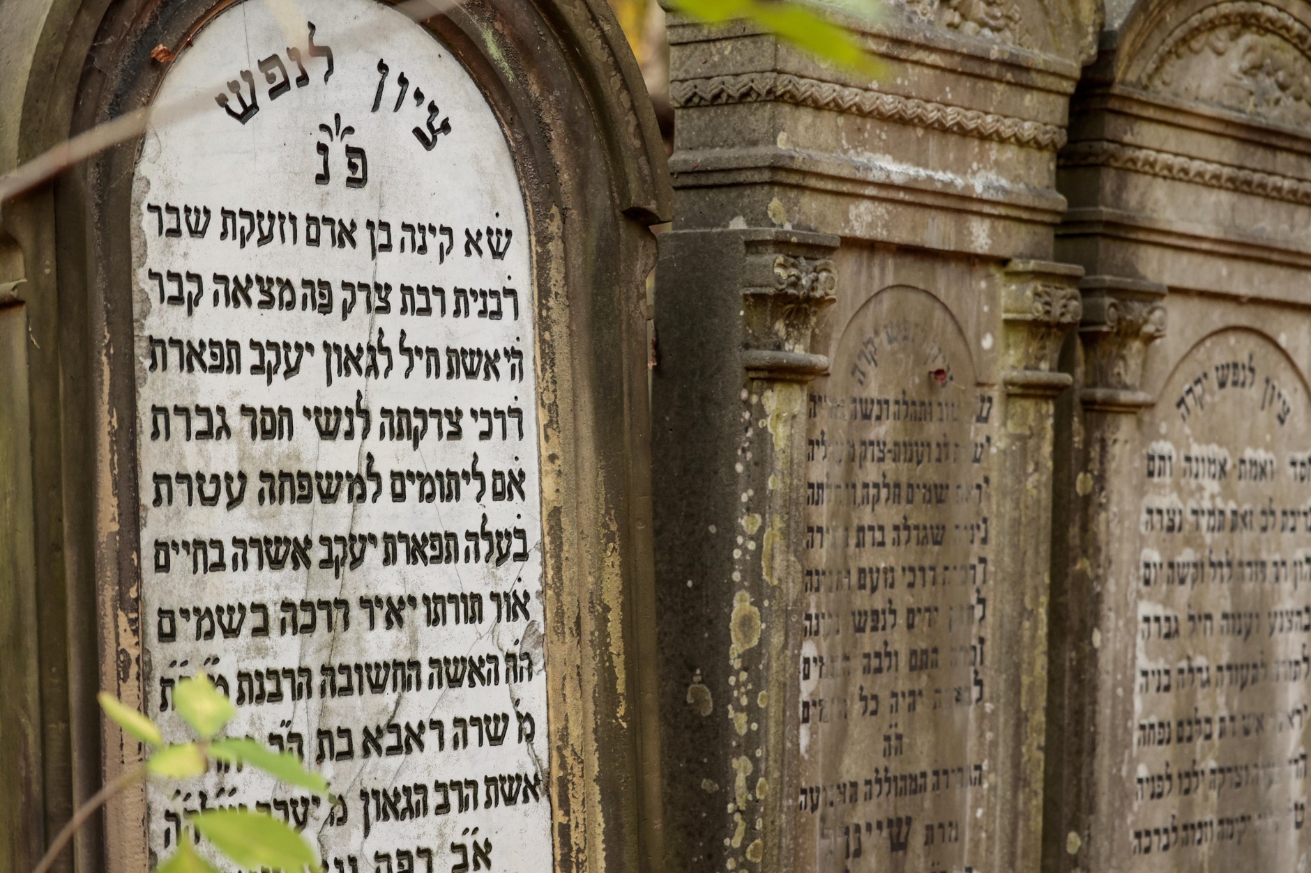 Jewish cemetery in Warsaw