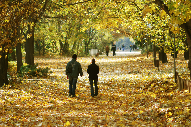 Unusual autumn weather in Romania until the beginning of December