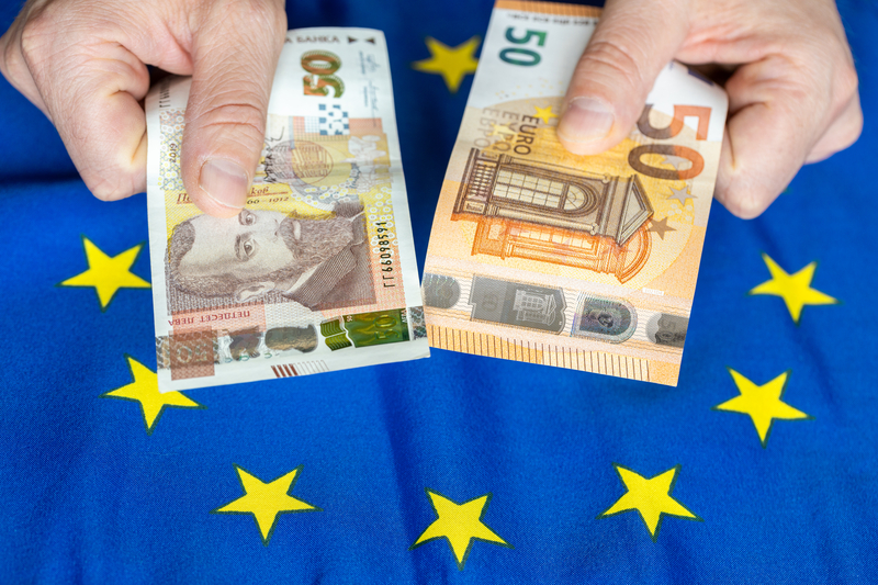 One in four Bulgarians believes that salaries and pensions will be cut in half after the changeover to the euro