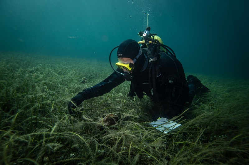 Greece has called on an ally from the deep to see how polluted its crystal clear seas have become: 'It leaves you speechless'