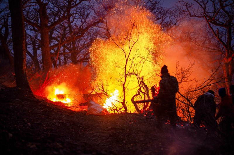 A UNESCO heritage forest is burning in Iran. Tehran asks for foreign aid - VIDEO